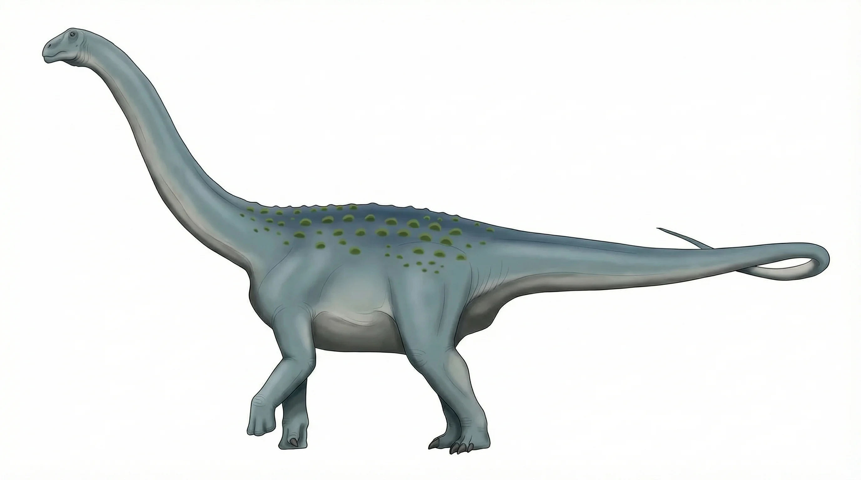 Ilustración paleontológica de Khetranisaurus