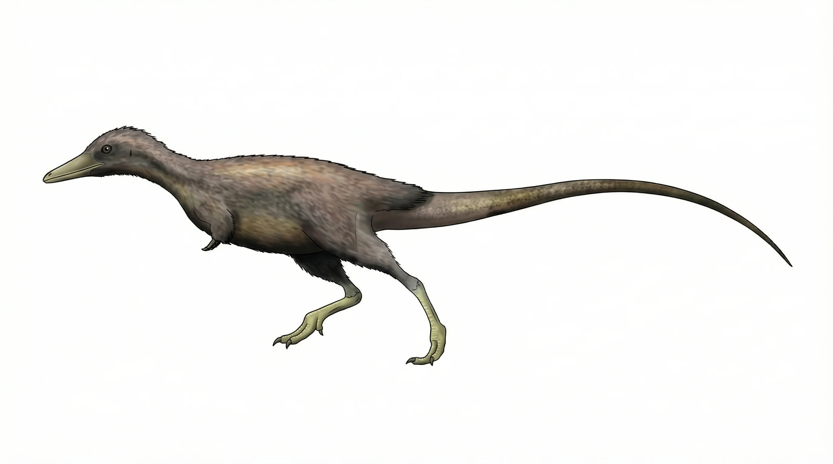 Ilustración paleontológica de Khulsanurus