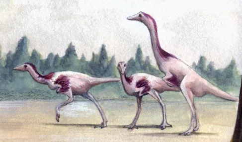 Ilustración paleontológica de Kinnareemimus