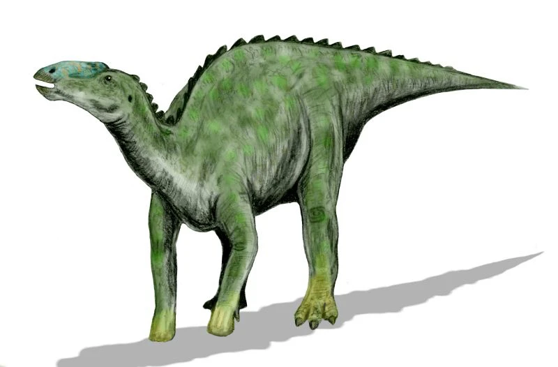 Ilustración paleontológica de Kritosaurus