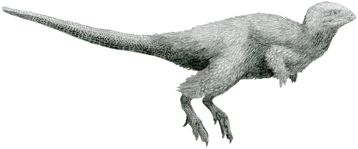 Ilustración paleontológica de Kulindadromeus