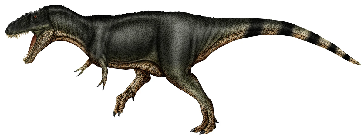 Ilustración paleontológica de Labocania