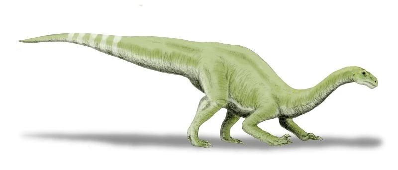 Ilustración paleontológica de Lamplughsaura