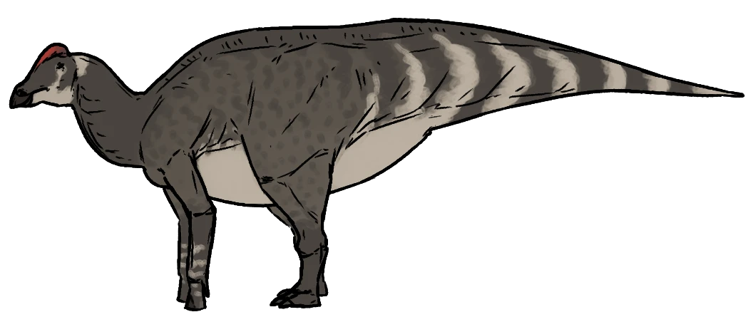 Ilustración paleontológica de Latirhinus