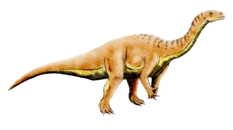 Ilustración paleontológica de Leonerasaurus