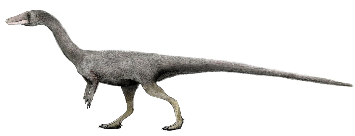 Ilustración paleontológica de Lepidus