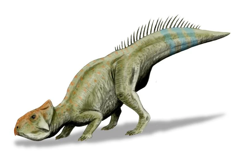 Ilustración paleontológica de Leptoceratops