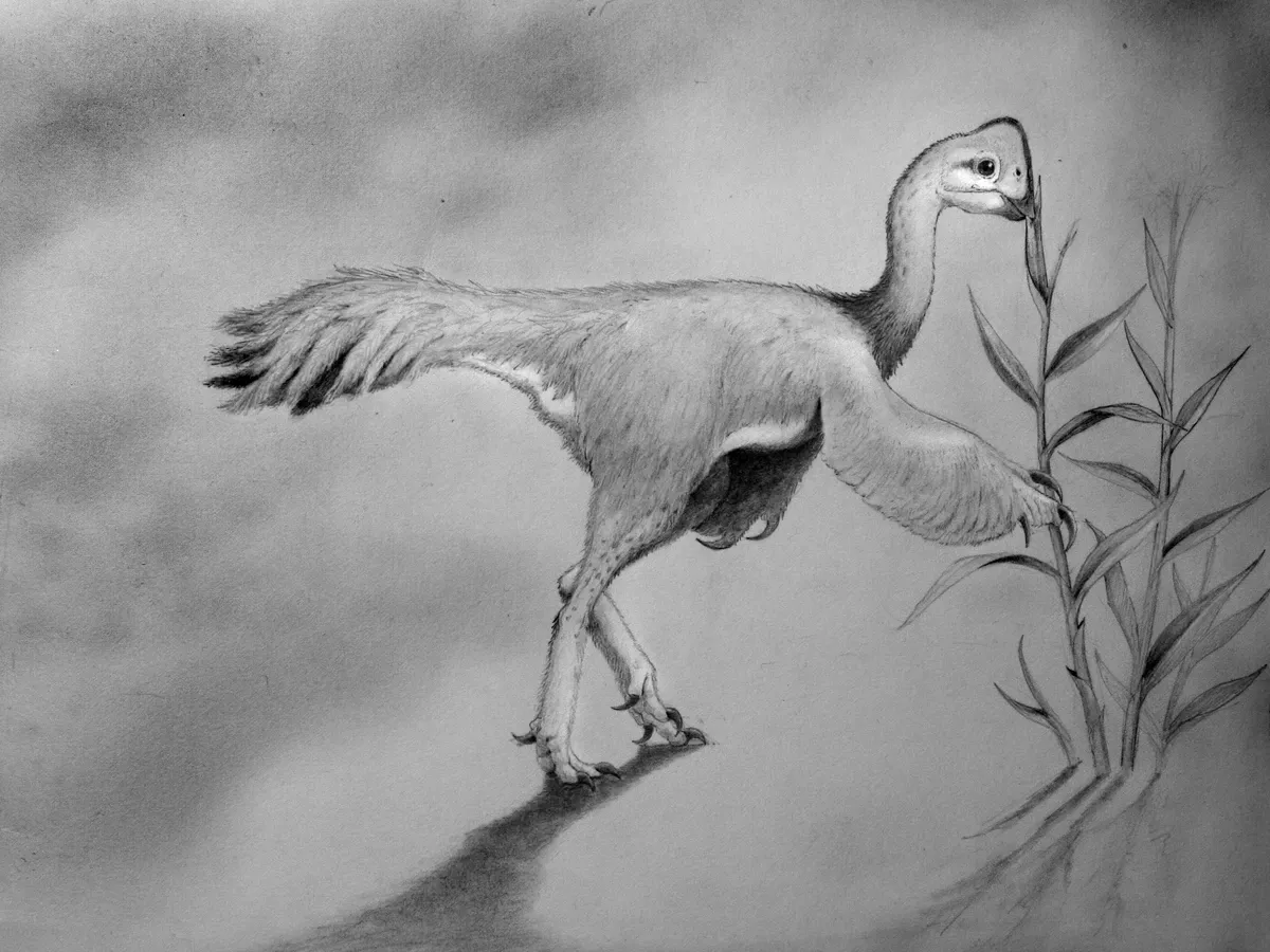 Ilustración paleontológica de Leptorhynchos