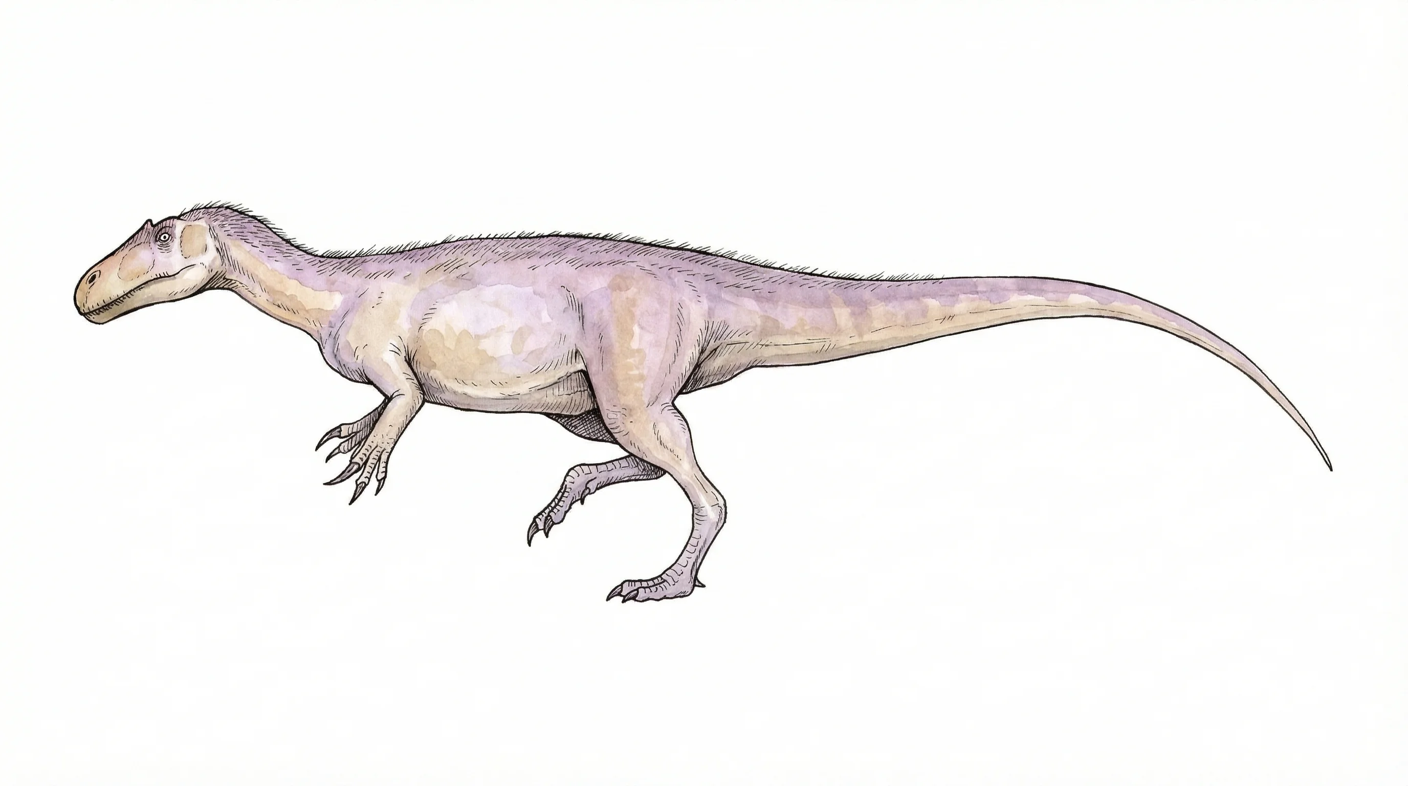 Ilustración paleontológica de Leshansaurus