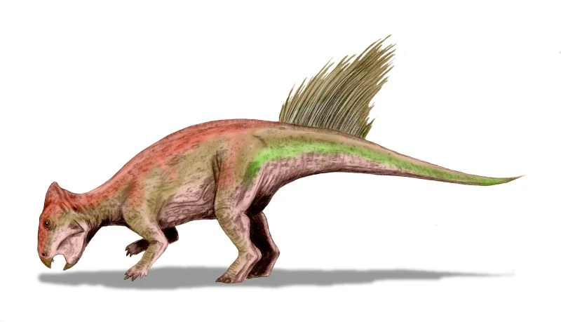 Ilustración paleontológica de Liaoceratops