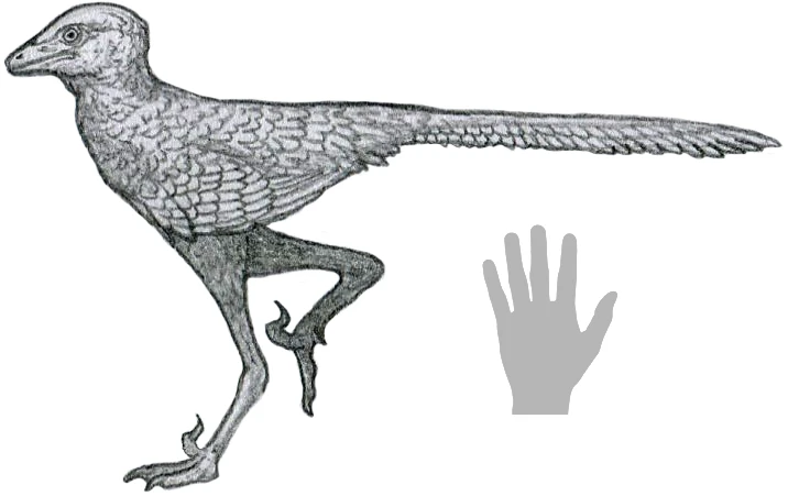 Ilustración paleontológica de Liaoningvenator