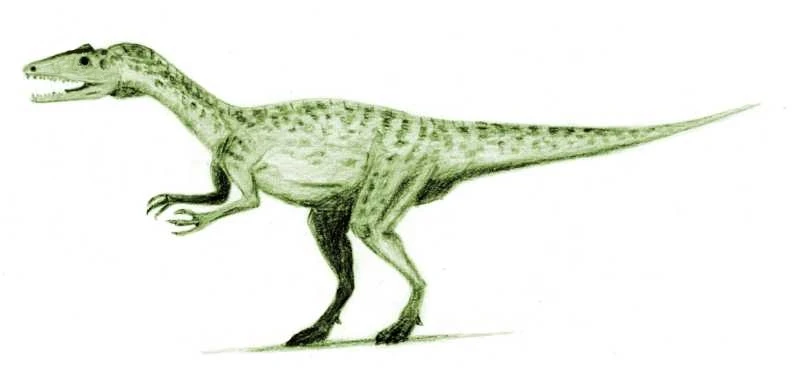 Ilustración paleontológica de Liliensternus