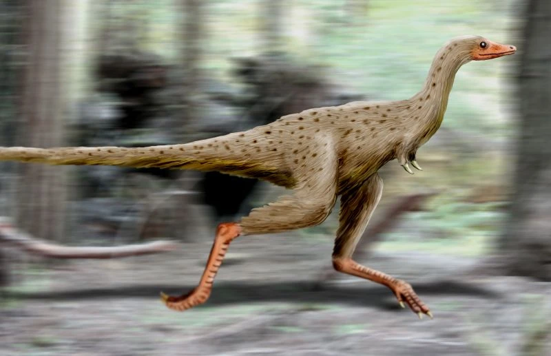 Ilustración paleontológica de Linhenykus
