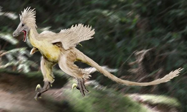Ilustración paleontológica de Linheraptor