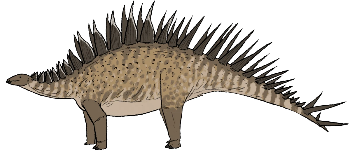 Ilustración paleontológica de Loricatosaurus