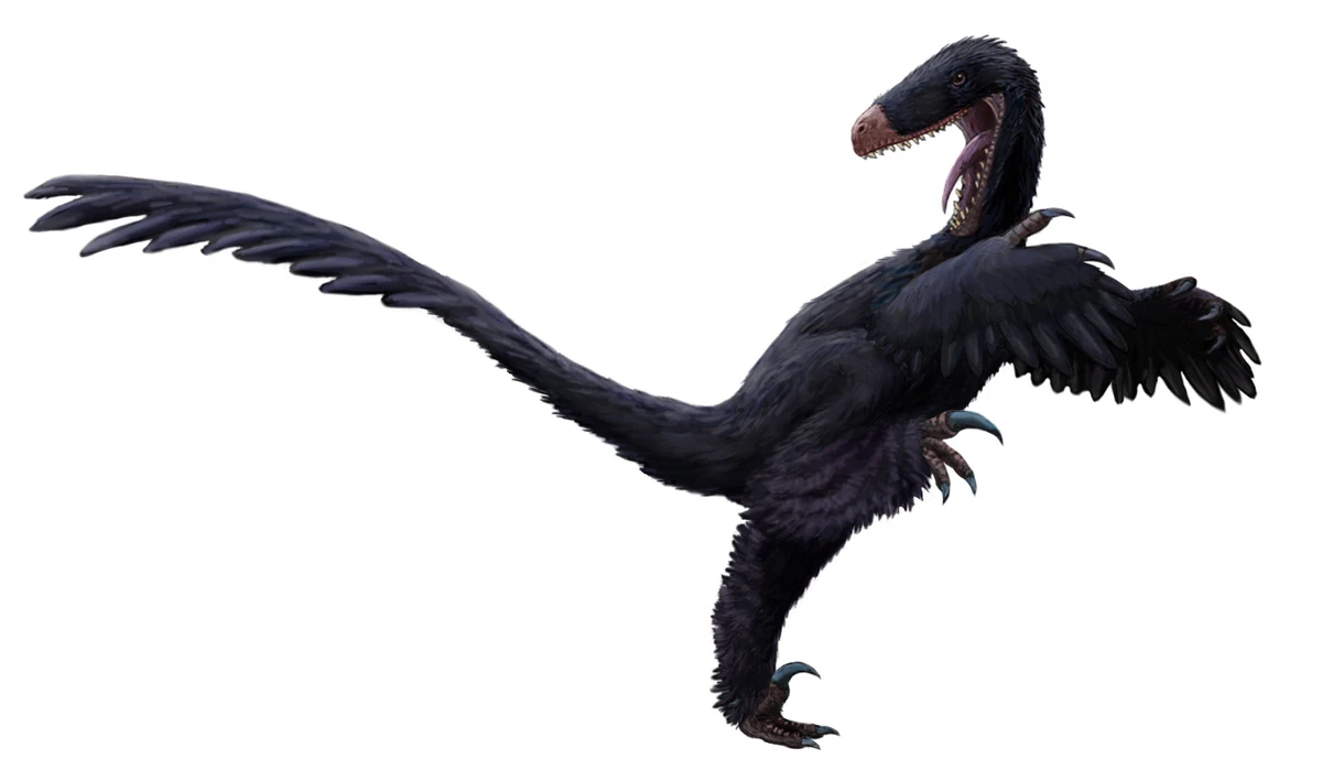 Ilustración paleontológica de Luanchuanraptor