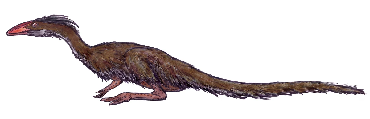 Ilustración paleontológica de Lucianovenator
