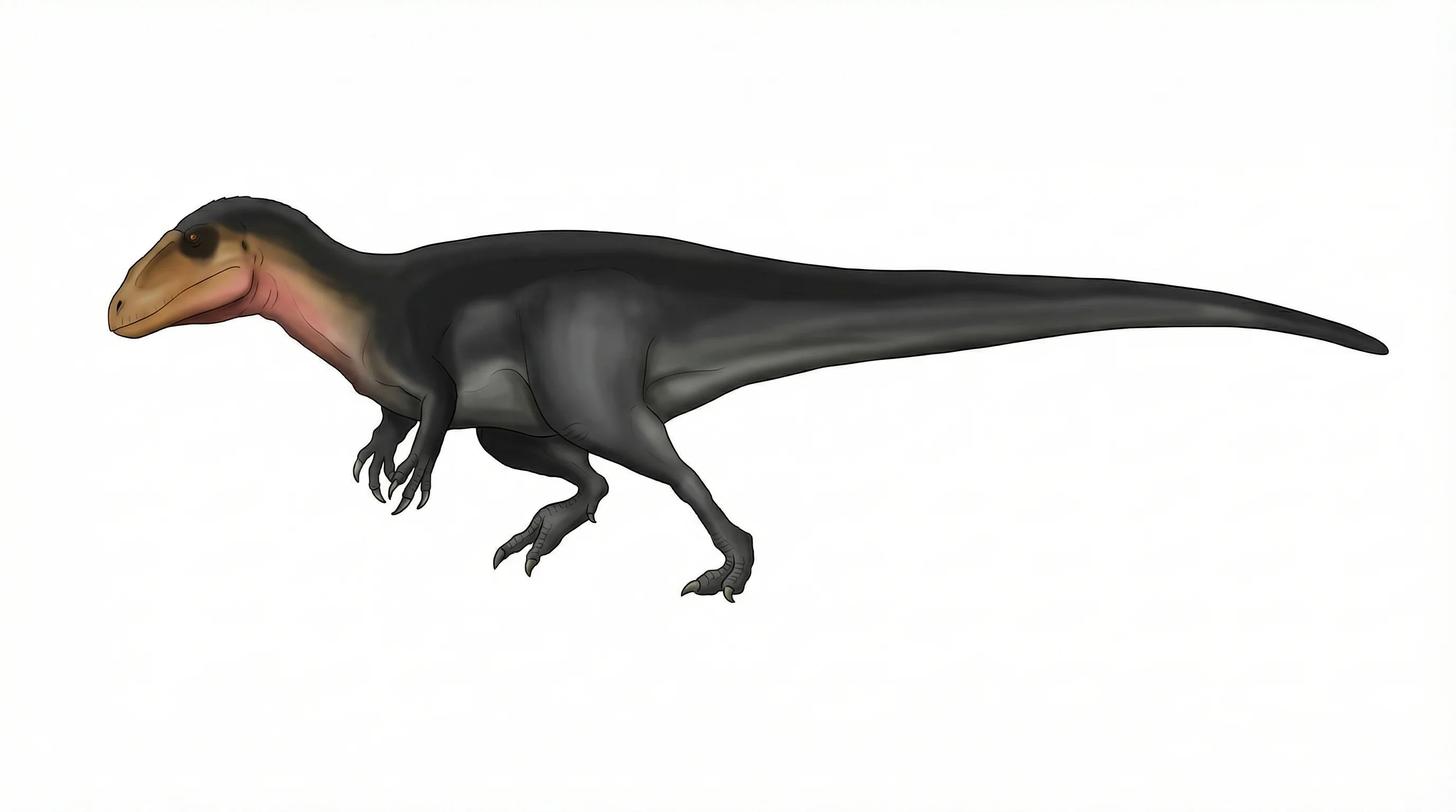 Ilustración paleontológica de Lusovenator