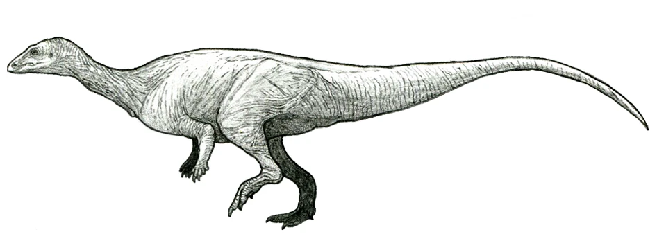 Ilustración paleontológica de Macrogryphosaurus
