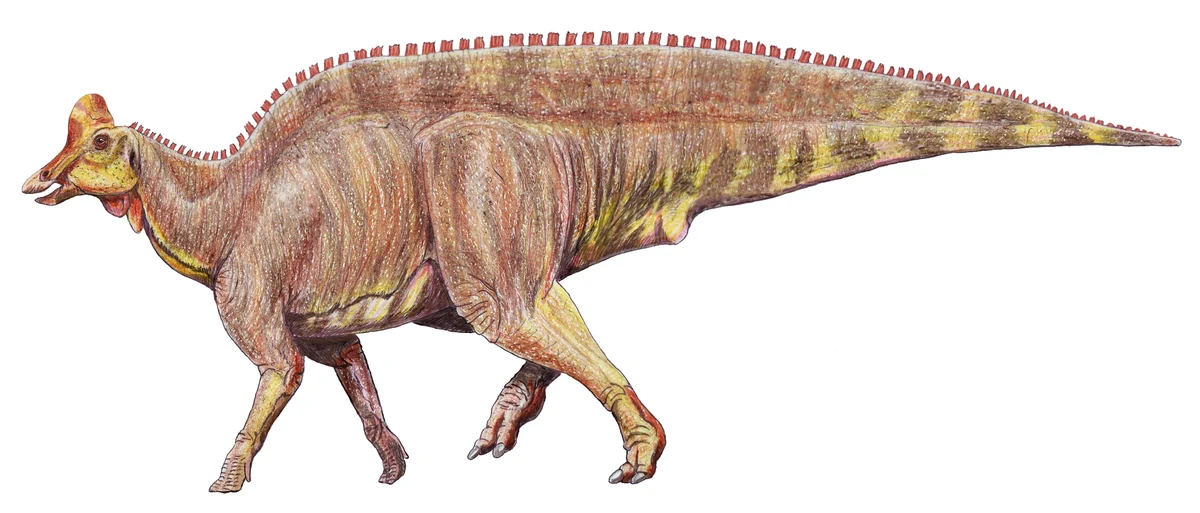 Ilustración paleontológica de Magnapaulia