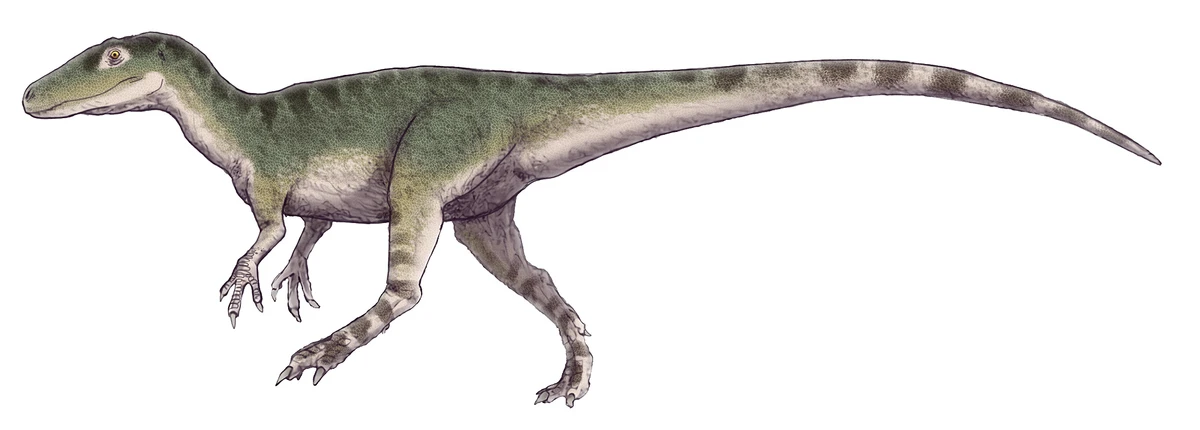 Ilustración paleontológica de Magnosaurus