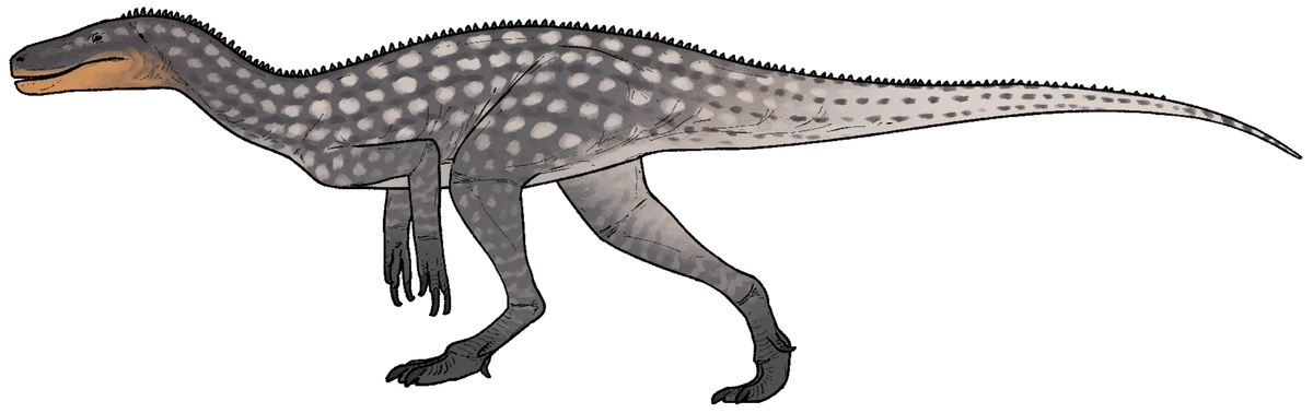Ilustración paleontológica de Maleriraptor