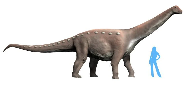 Ilustración paleontológica de Mansourasaurus