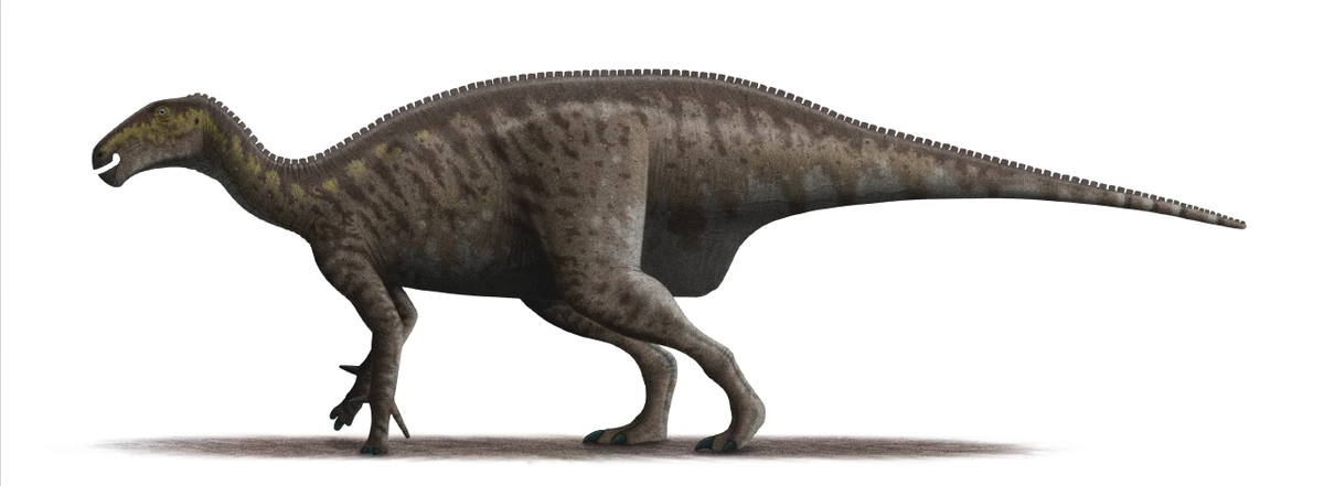 Ilustración paleontológica de Mantellisaurus