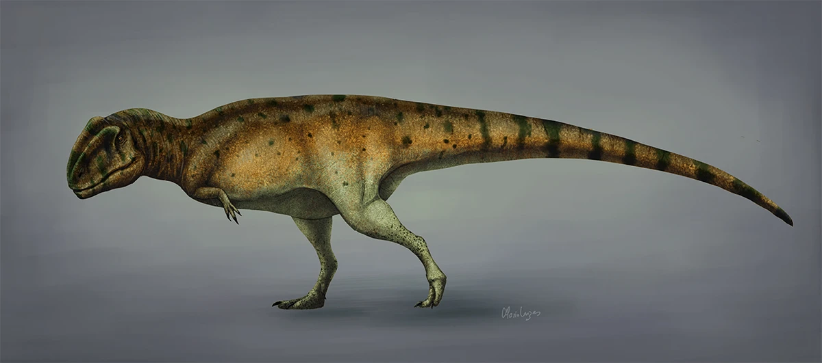 Ilustración paleontológica de Mapusaurus
