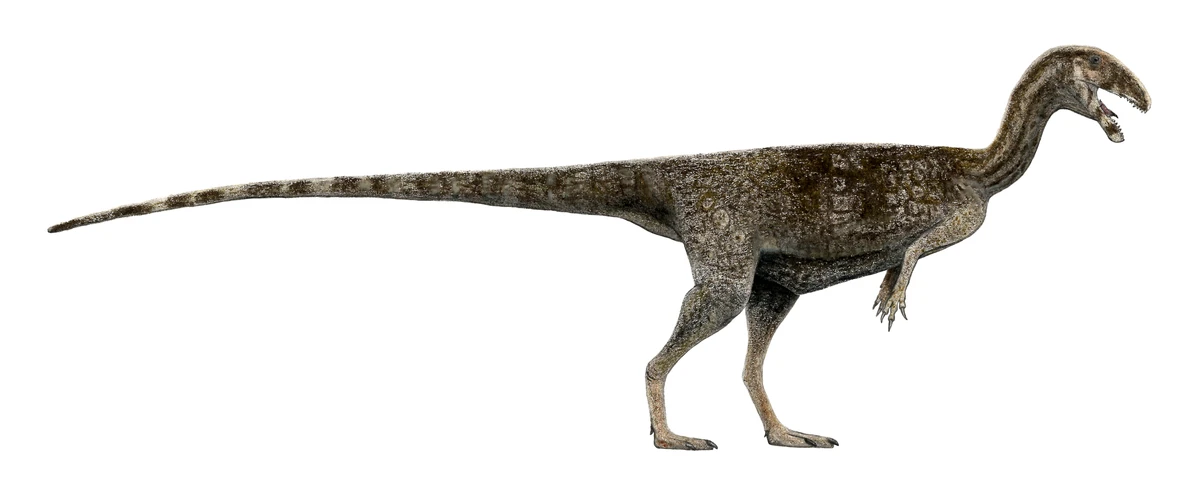 Ilustración paleontológica de Masiakasaurus