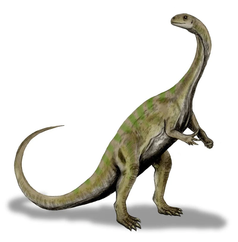 Ilustración paleontológica de Massospondylus