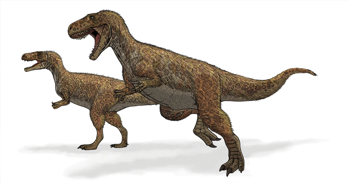 Ilustración paleontológica de Megalosaurus