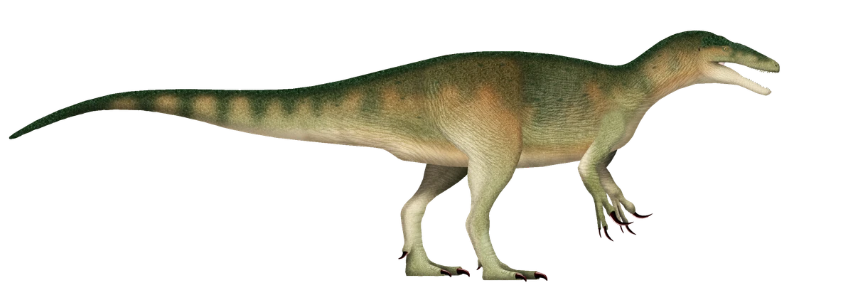 Ilustración paleontológica de Megaraptor