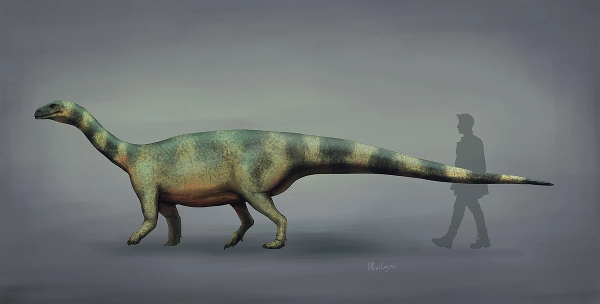 Ilustración paleontológica de Melanorosaurus