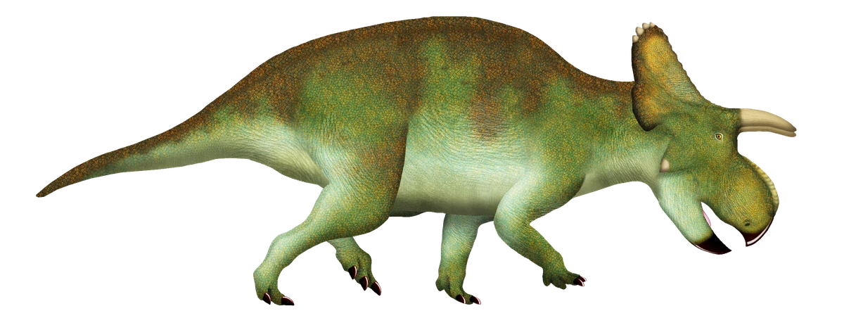 Ilustración paleontológica de Menefeeceratops
