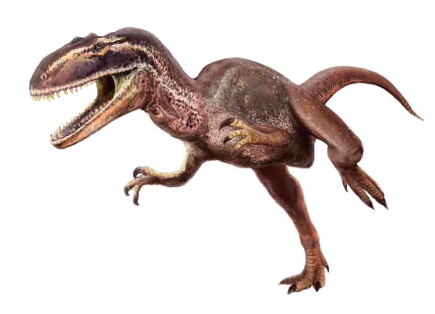 Ilustración paleontológica de Metriacanthosaurus