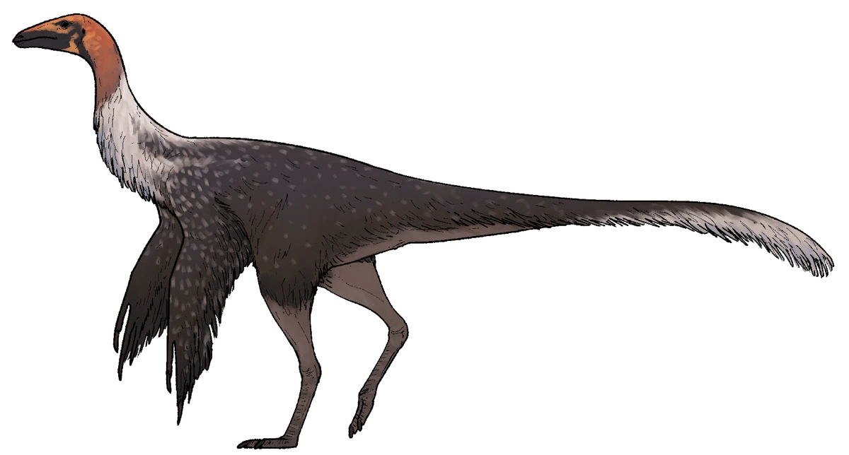 Ilustración paleontológica de Mexidracon
