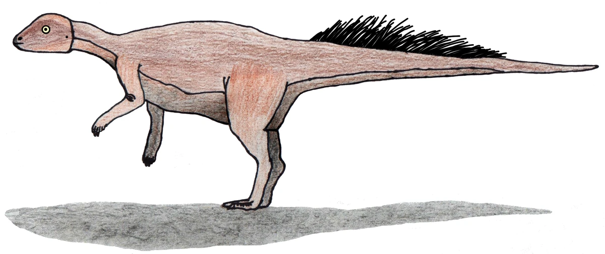 Ilustración paleontológica de Micropachycephalosaurus