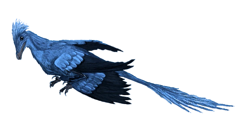 Ilustración paleontológica de Microraptor