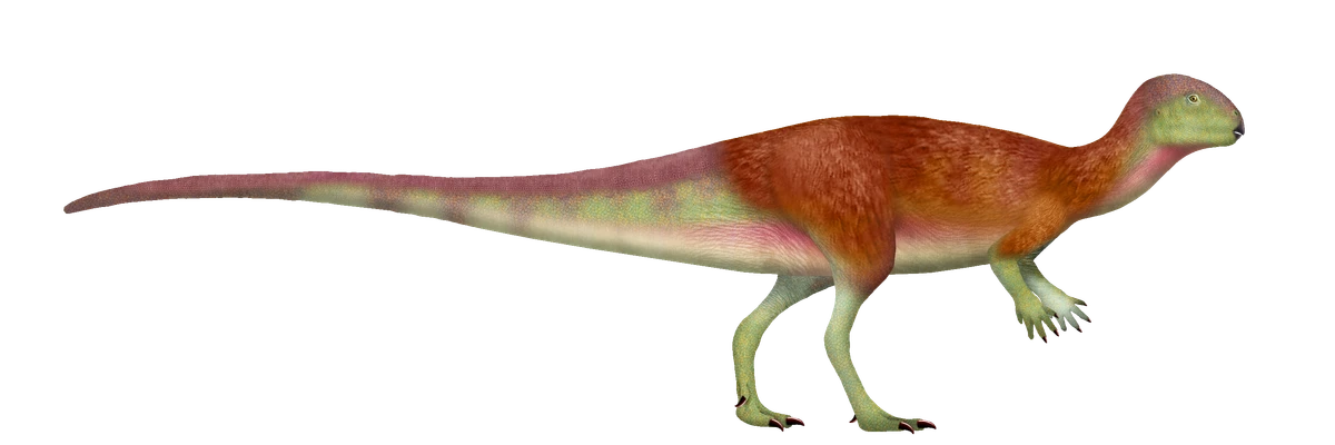 Ilustración paleontológica de Minimocursor