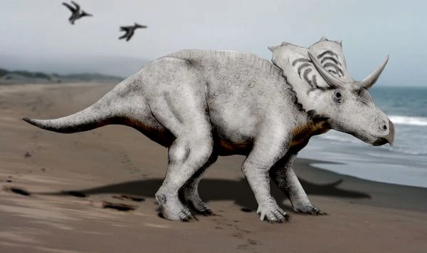 Ilustración paleontológica de Mojoceratops