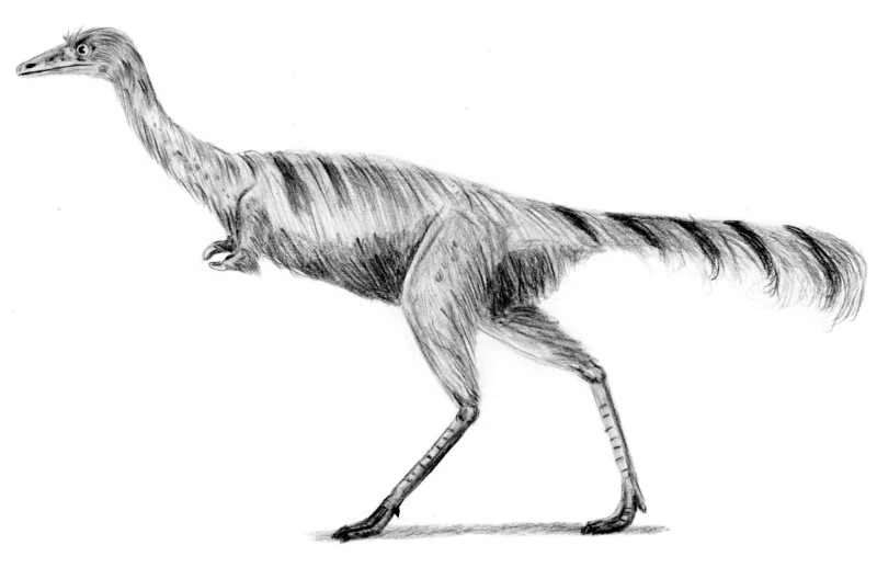 Ilustración paleontológica de Mononykus