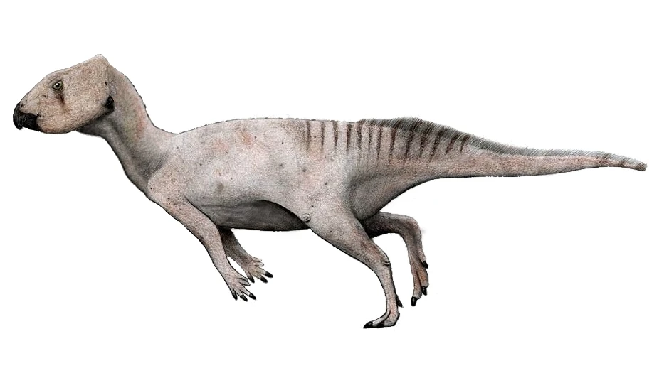 Ilustración paleontológica de Mosaiceratops