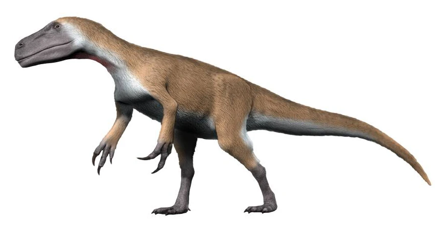 Ilustración paleontológica de Murusraptor
