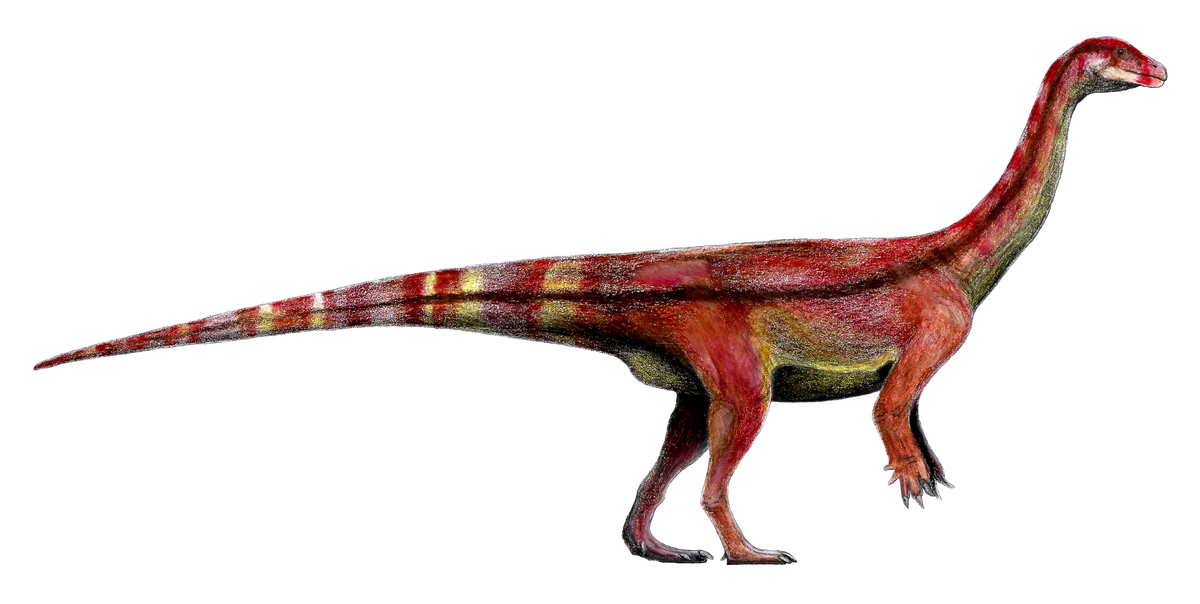 Ilustración paleontológica de Musankwa