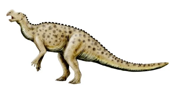Ilustración paleontológica de Muttaburrasaurus