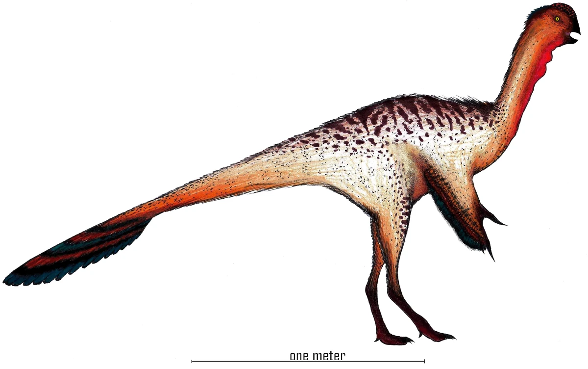Ilustración paleontológica de Nankangia