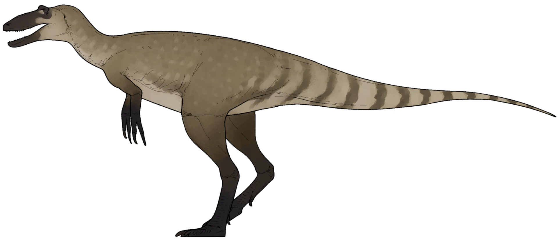 Ilustración paleontológica de Nanotyrannus