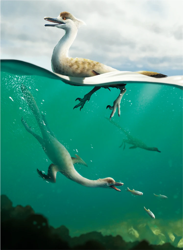 Ilustración paleontológica de Natovenator