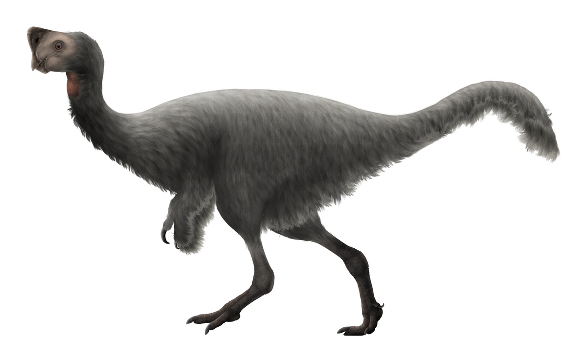 Ilustración paleontológica de Nemegtomaia